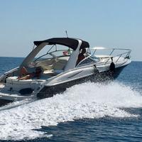 Monterey 298 sc