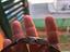 Immagine 3