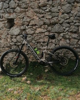 ebike