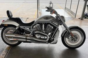 Harley V Rod Centenario 2003 bicolore