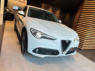 Alfa Romeo Stelvio 2.2 Turbodiesel 180 CV AT8 RWD 