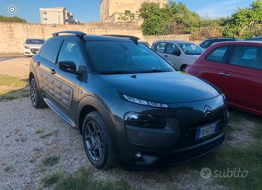 C4 CACTUS 06/2015