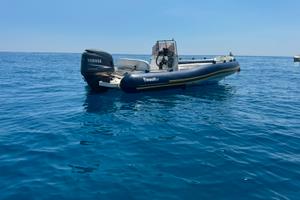 Marlin Top Yamaha 115cv