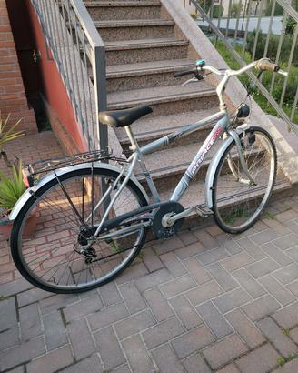 bicicletta da uomo 