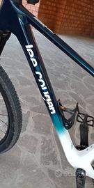 MTB carbonio cambio elettronico 