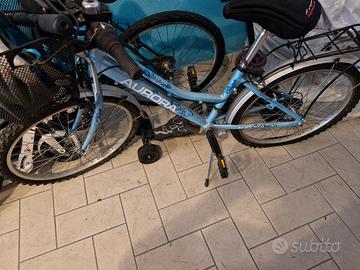 bicicletta 