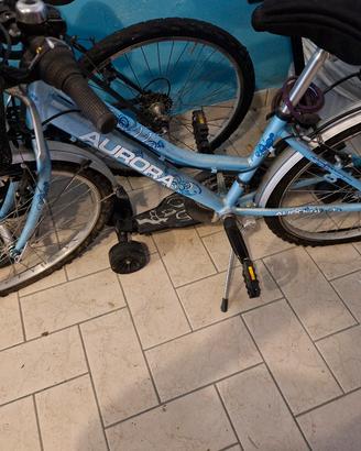 bicicletta 