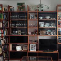 Libreria mobile soggiorno tv