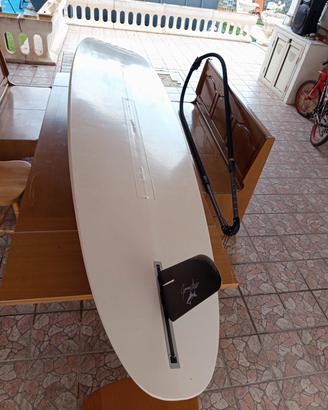 Tavola windsurf Bic sport Lamba