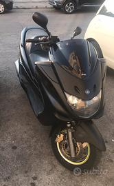 Majesty 250