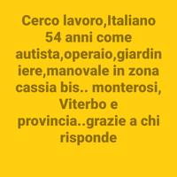 lavoro , autista,operaio