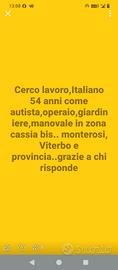 lavoro , autista,operaio