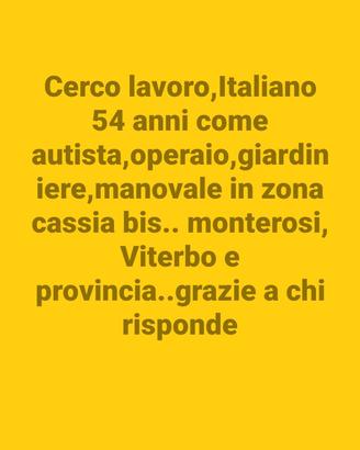 lavoro , autista,operaio