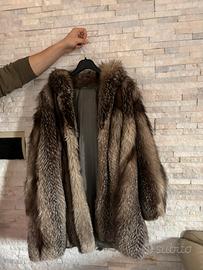 Pelliccia di Marmotta