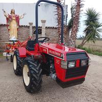 TRATTORE VALPADANA 2030 MOTORE LOMBARDINI 30 CV. 4
