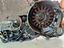 Immagine 5