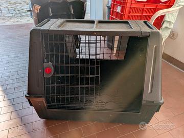 kennel
