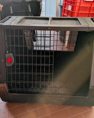 kennel