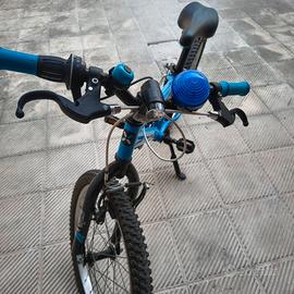 Bicicletta bimbo