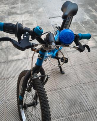 Bicicletta bimbo