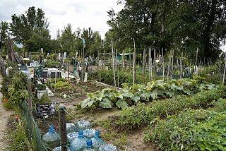 Porzioni di terreno per ortaggi o tempo libero