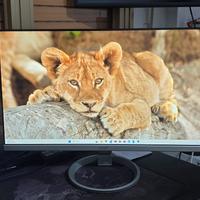 Monitor Acer 24" R240Y - Full HD IPS 75Hz 1ms