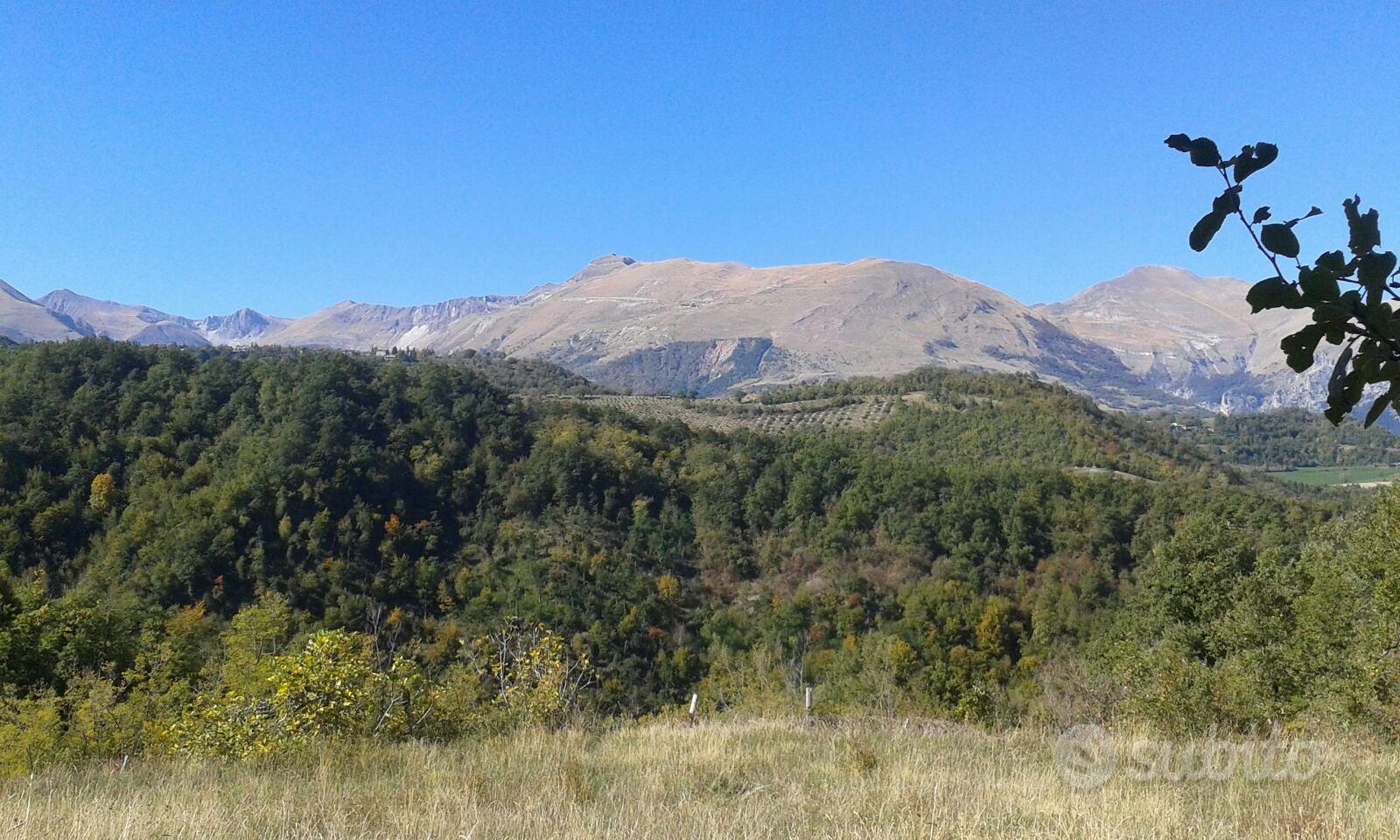Casa indipendente Montefortino - Altro