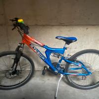 Bicicletta per ragazzino