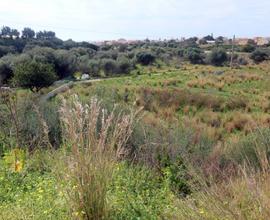 Casuzze Terr.Agricolo con accesso strada asfaltata