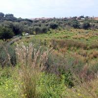 Casuzze Terr.Agricolo con accesso strada asfaltata