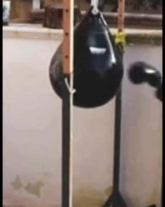 struttura sacco da boxe 