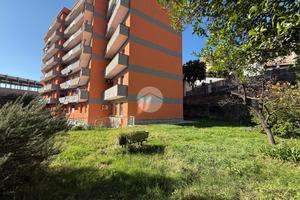 5 LOCALI A GENOVA