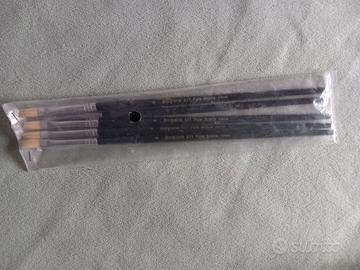 Set pennelli in legno  pluriuso  punta piatta