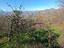 Immagine 25
