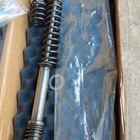 ammortizzatori Triumph 