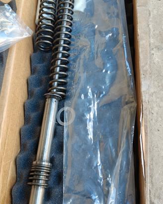 ammortizzatori Triumph 