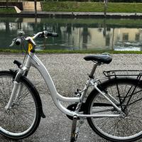 Bici unisex cambio nexus