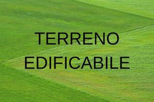 Borgo S Lorenzo terreno mq 12000