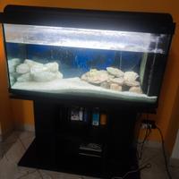Acquario 200 litri