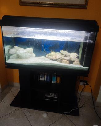 Acquario 200 litri