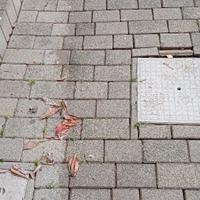 autobloccanti granito