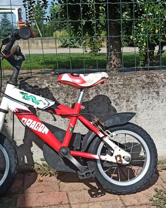 bici telaio del 12