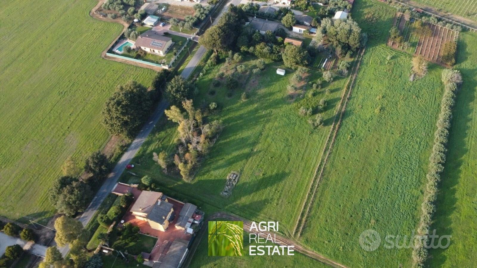 Terreno agricolo 3,5 HA ca. fronte strada | TR344 - Vista 2