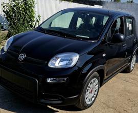 FIAT Panda 1.0 FireFly S&S Hybrid km0