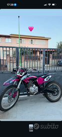 pitbike cayo 250