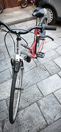 bicicletta Frejus S 