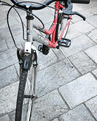 bicicletta Frejus S 