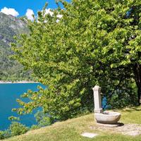 Web designer per sito web