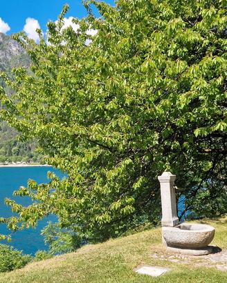 Web designer per sito web