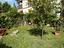 Immagine 17